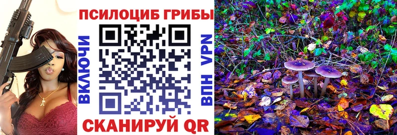 Псилоцибиновые грибы ЛСД  где купить наркоту  Северодвинск 